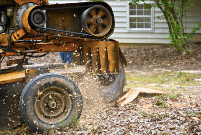 stump removal in minnesota